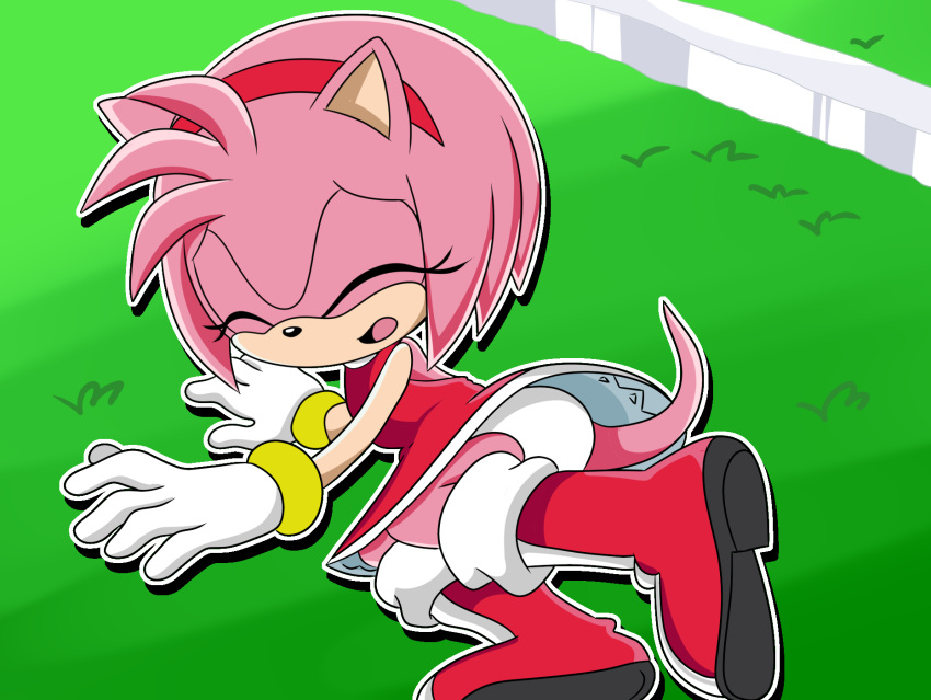 1girl amy_rose anthro female_only furry green_eyes hedgehog panties pantyshot pink_body sega sonic_the_hedgehog_(series) upskirt