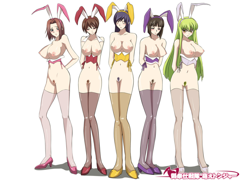 animal_ears arms_behind_back big_breasts black_hair blue_eyes blue_hair breasts brown_hair bunny_ears bunnysuit c.c. cc censored chiba_nagisa closed_eyes code_geass colored_pubic_hair corset cosplay erect_nipples everyone female green_hair high_heels inoue kallen_stadtfeld large_breasts legs lineup long_hair mostly_nude multiple_girls nagisa_chiba navel nipples pubic_hair pussy shoes short_hair stockings take_your_pick thighhighs yellow_eyes