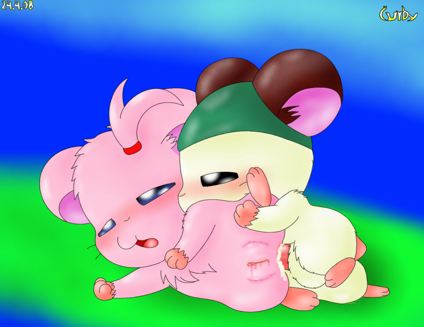 cappy curby hamtaro tagme