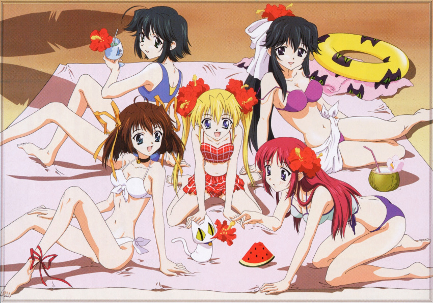 5girls asakura_nemu barefoot beach breasts cat cleft_of_venus collar da_capo feet flower hair_ornament innertube mizukoshi_mako mizukoshi_moe multiple_girls nipples nude nude_filter pussy shirakawa_kotori take_your_pick third-party_edit uncensored yoshino_sakura