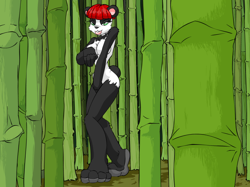 bamboo furry green_eyes panda pikanjo red_hair solo