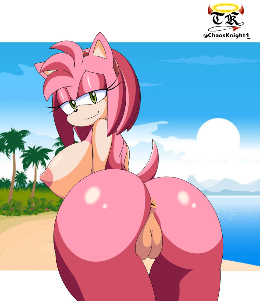 1girl 2019 amy_rose animal_ears anthro anthrofied anus ass beach bedroom_eyes bent_over big_ass big_breasts big_butt breasts bubble_ass bubble_butt butt chaosknight_1 chaosknight_1_(artist) dat_ass day erect_nipples eulipotyphlan eyelashes female female_only furry green_eyes hairband half-closed_eyes hedgehog high_res huge_ass huge_breasts huge_butt letterbox looking_at_viewer looking_back mammal multicolored_fur nipples nude outside palm_tree pink_fur pussy rear_view sand sea seaside seductive seductive_look seductive_smile sega sexy sexy_ass sexy_body sexy_breasts sky smile sonic_(series) sonic_the_hedgehog_(series) sun tail tan_fur thicc thick thick_ass thick_thighs tree video_games water wide_hips