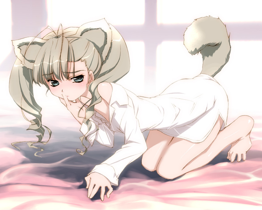 aino_pekonen akata_itsuki all_fours animal_ears barefoot bed blush bottomless brown_hair cocoro_navi dog_ears dog_tail dress_shirt drill_hair feet hentai kokoro_navi long_hair shirt silver_eyes tail wallpaper