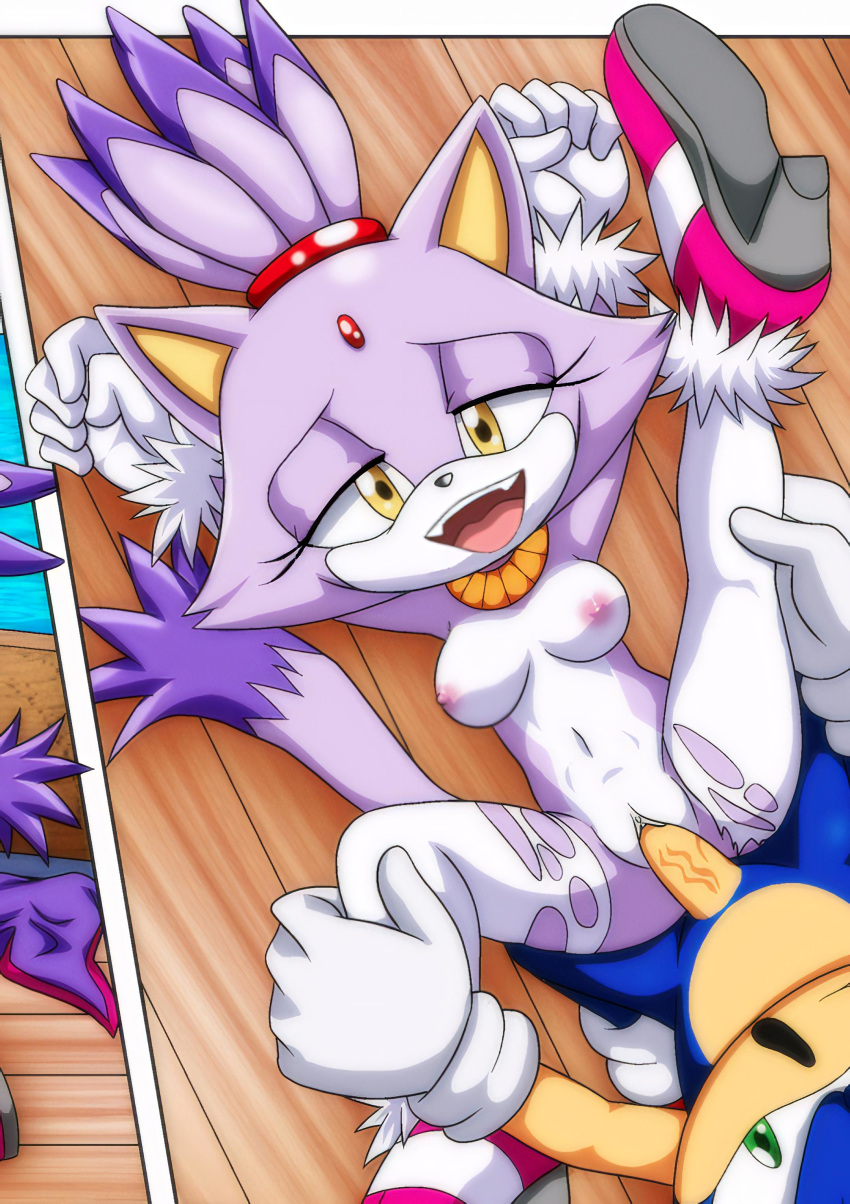 bbmbbf blaze_the_cat cropped edit mobius_unleashed palcomix sega sonic_(series) sonic_the_hedgehog sonic_the_hedgehog_(series) updated_image