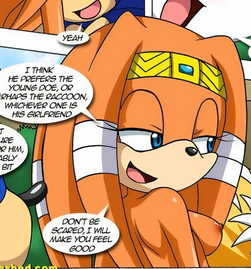 bbmbbf cropped mario_&_sonic_(comic) miles_"tails"_prower mobius_unleashed palcomix sega sonic_(series) sonic_the_hedgehog sonic_the_hedgehog_(series) tagme tikal_the_echidna