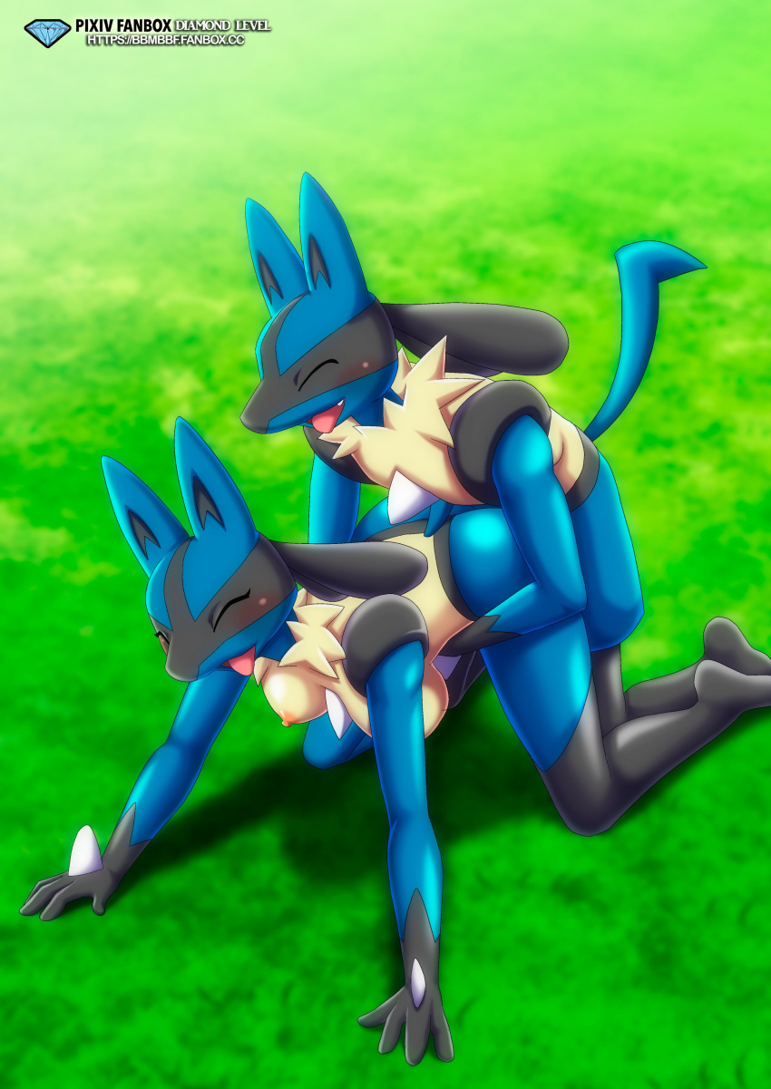 1boy 1girl bbmbbf black_fur blue_fur blush closed_eyes doggy_position female_pokemon gen_4_pokemon lucario male_pokemon male_pokemon/female_pokemon palcomix pokemon pokepornlive yellow_fur