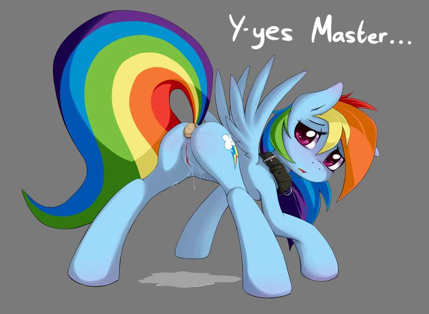 buttplug collar equine friendship_is_magic my_little_pony pegasus pussy rainbow_dash sex_toy smitty_g smittyg wings