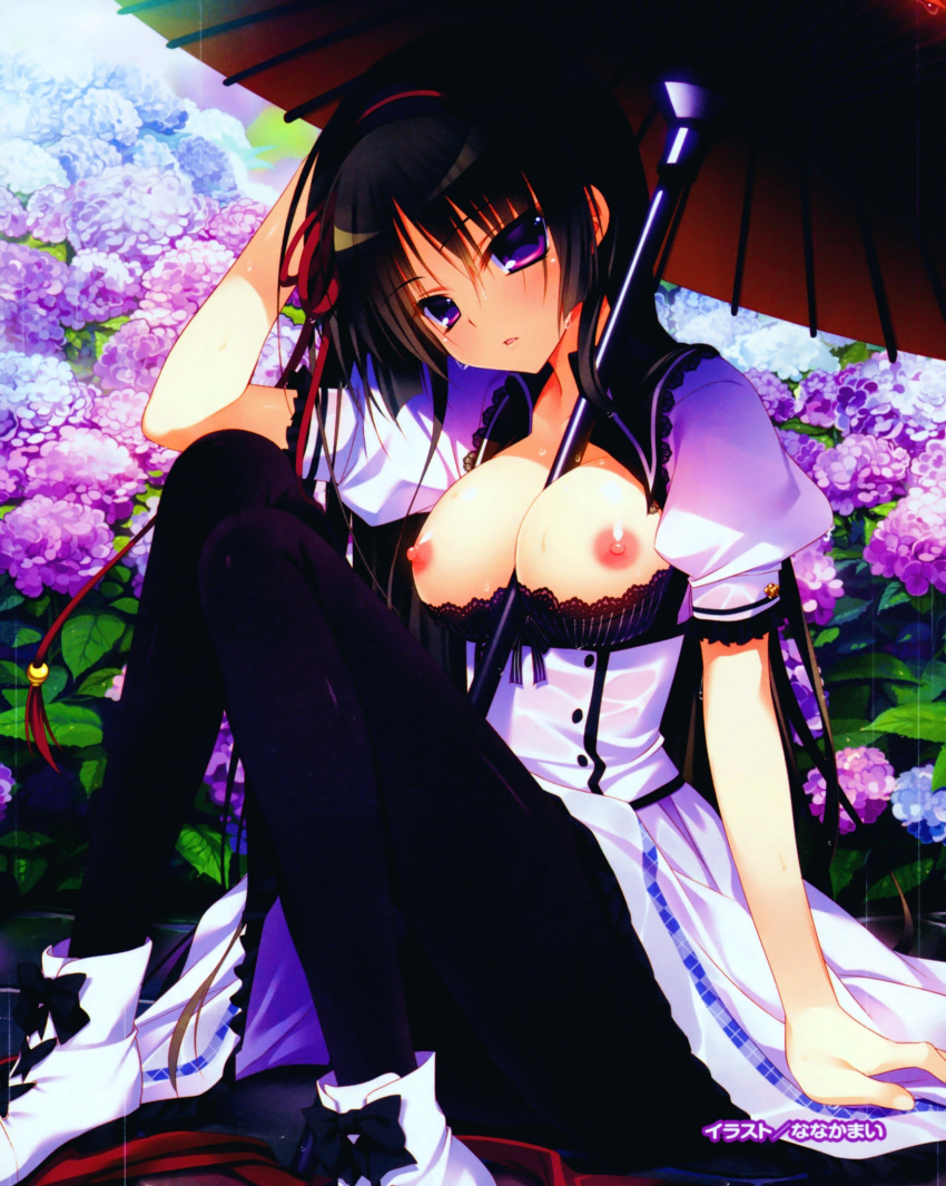 1girl :o ankle_boots arm_support artist_name bangs between_breasts black_bra black_hair black_legwear blush boots bow bow_bra bra breasts breasts_outside brown_hair buttons dress flower hair_between_eyes hair_ribbon hairband hand_on_head hand_on_own_head head_tilt high_res highres hydrangea kuchifusa_yogiri lace lace-trimmed_bra large_breasts long_hair looking_at_viewer nanaka_mai nature nipples official_art open_clothes open_mouth open_shirt outdoors outside pantyhose parasol parted_lips plaid pure_girl purple_eyes rain ribbon scan school_uniform shirt sitting solo umbrella underwear very_long_hair wet wet_clothes