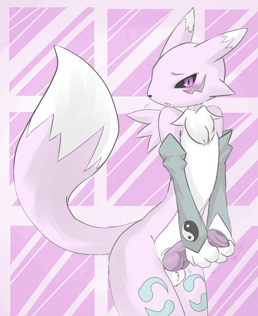 1_anthro 1_male 1boy 3_fingers anthro anthro_canine anthro_fox anthro_only aroused canine detached_sleeves digimon erection fur furry knot looking_at_viewer male male_anthro male_anthro_fox male_only male_renamon mostly_nude penis purple_eyes raised_tail renamon solo standing tail testicles toei_animation white_fur window yin_yang