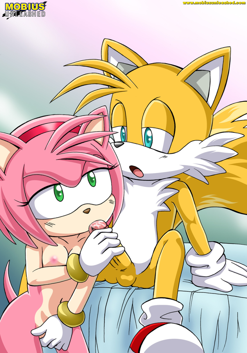 amy_rose anthro bbmbbf furry miles_"tails"_prower mobius_unleashed palcomix sega sonic_(series) sonic_team sonic_the_hedgehog_(series)