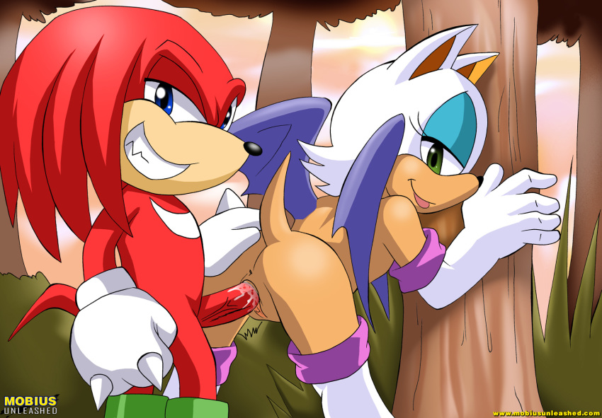 anthro bbmbbf female from_behind furry hetero knuckles_the_echidna male mobius_unleashed palcomix rouge_the_bat sega sonic_(series) sonic_team sonic_the_hedgehog_(series)