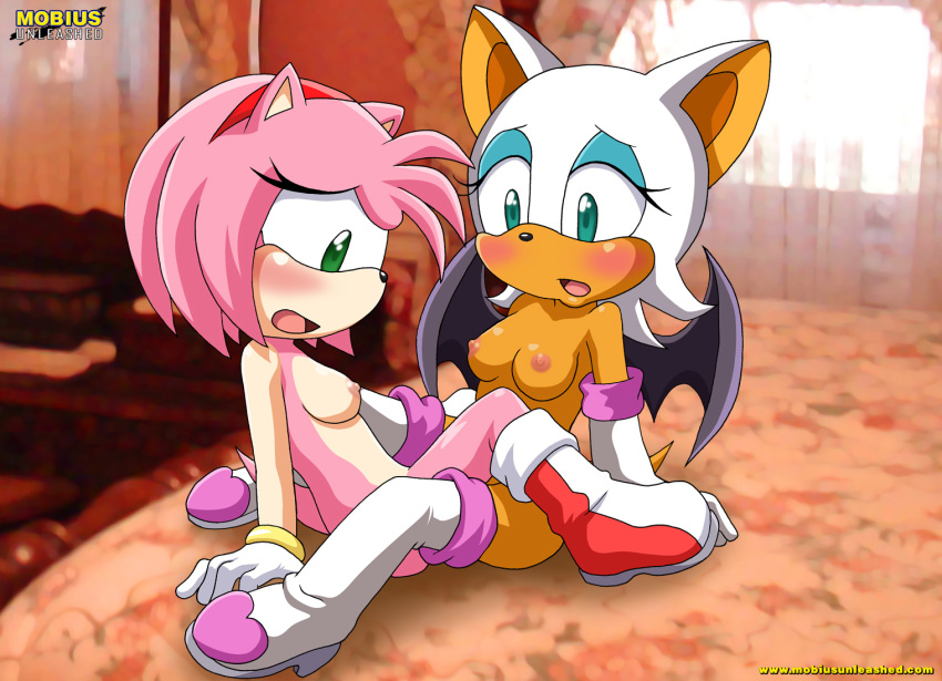 Xbooru 2 girls 2girls amy rose anthro bat bbmbbf bed blue eyes  