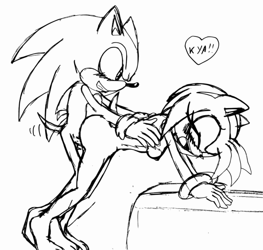 amy_rose from_behind raianonzika_(artist) sex sonic sonic_the_hedgehog zerbukii_(artist)