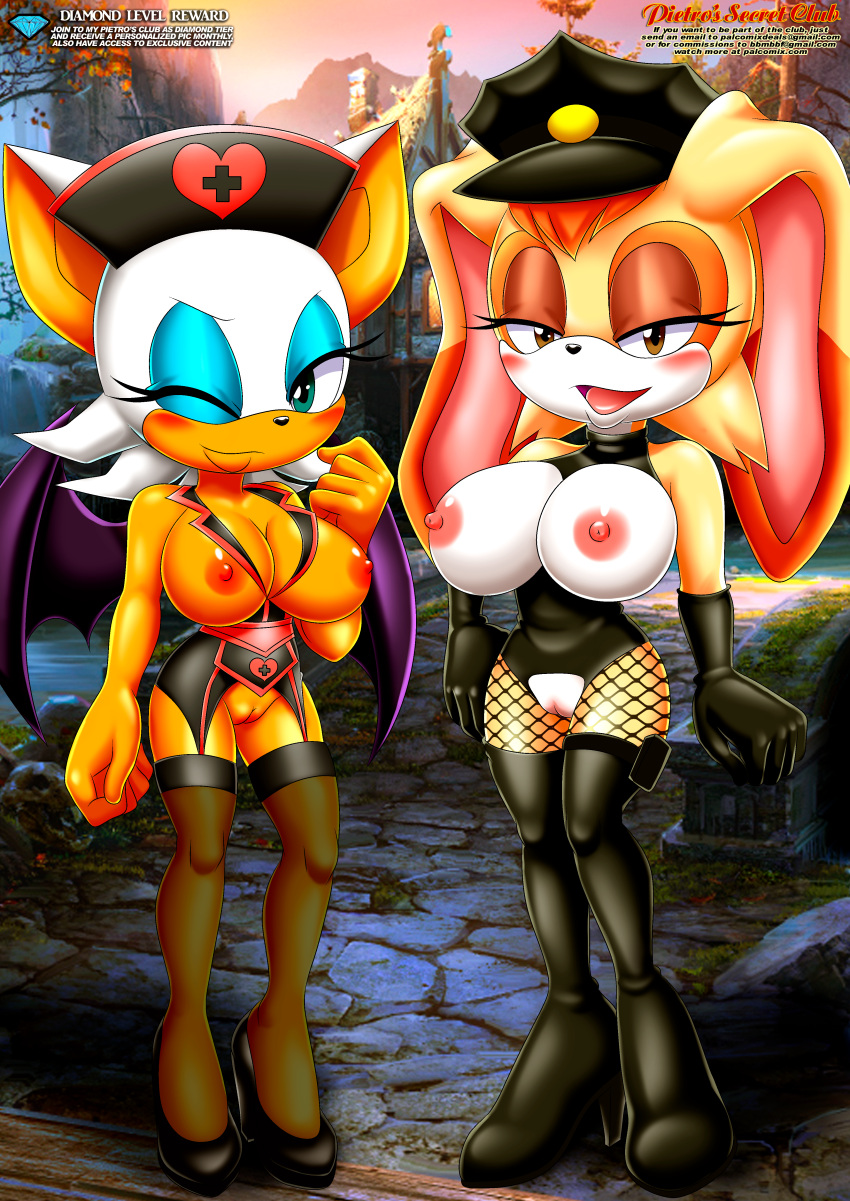 2_girls animal_ears bbmbbf big_breasts brown_eyes bunny_ears green_eyes high_heels looking_at_viewer mobius_unleashed nipples nurse palcomix pussy rouge_the_bat sega smile sonic_*(series) sonic_the_hedgehog_(series) vanilla_the_rabbit