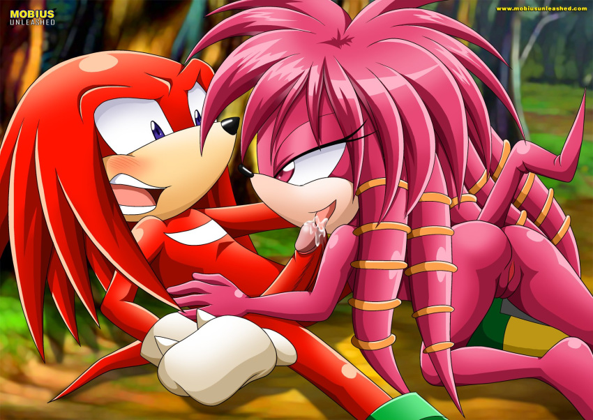 archie_comics aurora_the_echidna bbmbbf knuckles_the_echidna mobius_unleashed palcomix sega sonic_(series) sonic_the_hedgehog_(series)