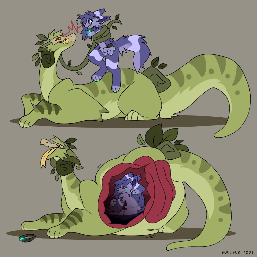 1girl belly_bulge digesting digestion eclipse_(foulfur) female_prey foulfur furry helpless hush hush_(character) hush_(hushyum) hush_(purple_prey) internal_view male male/female male_pred powerless stomach_bulge trapped vore