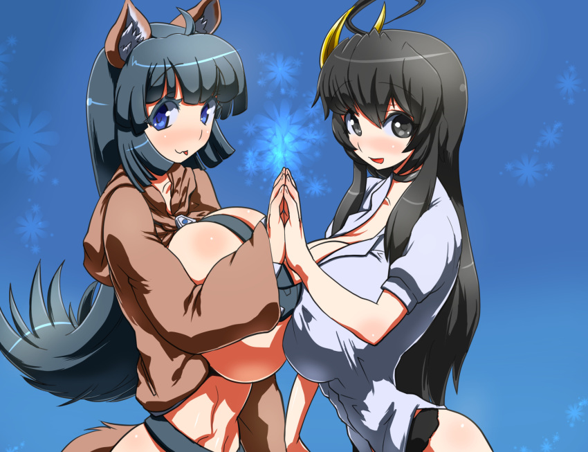 2girls animal_ears blue_eyes blue_hair blush breast_press breasts brown_eyes brown_hair female hair highres histamine_c huge_breasts long_hair multiple_girls smile tail