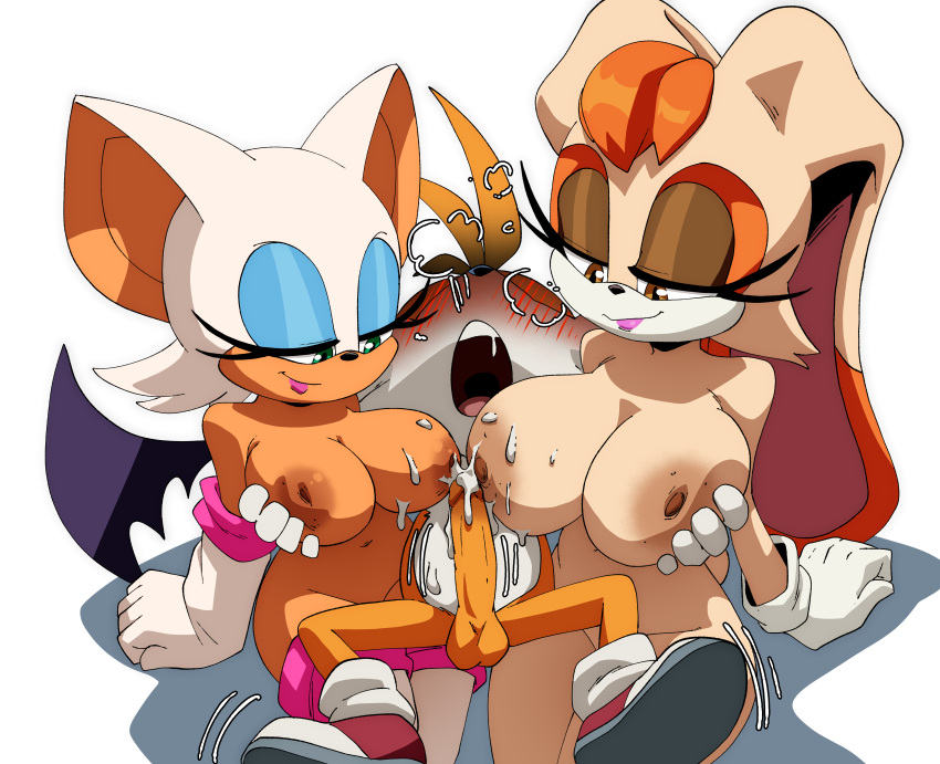 fanart miles_tails_prower rouge_the_bat tagme vanilla_the_rabbit