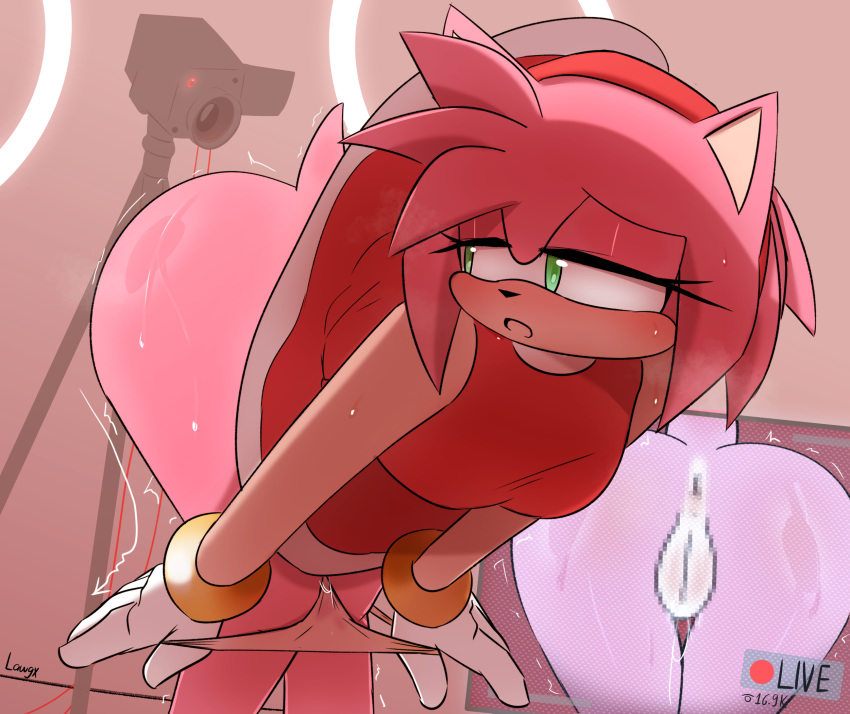 1girl amy_rose anthro anus ass big_ass blood blush bodily_fluids camera censored censored_anus censored_genitalia censored_pussy clothing eulipotyphlan female genitals green_eyes hedgehog high_res lawgx mammal mosaic_censorship panties pussy sega solo sonic_the_hedgehog_(series) sweat sweaty_legs sweaty_thighs underwear video_camera