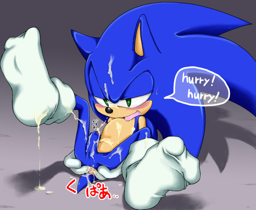 anus blush bukkake cum gaping gaping_anus gay hedgehog male penis sega shoppaaaa socks solo sonic_(series) sonic_team sonic_the_hedgehog uncut yaoi