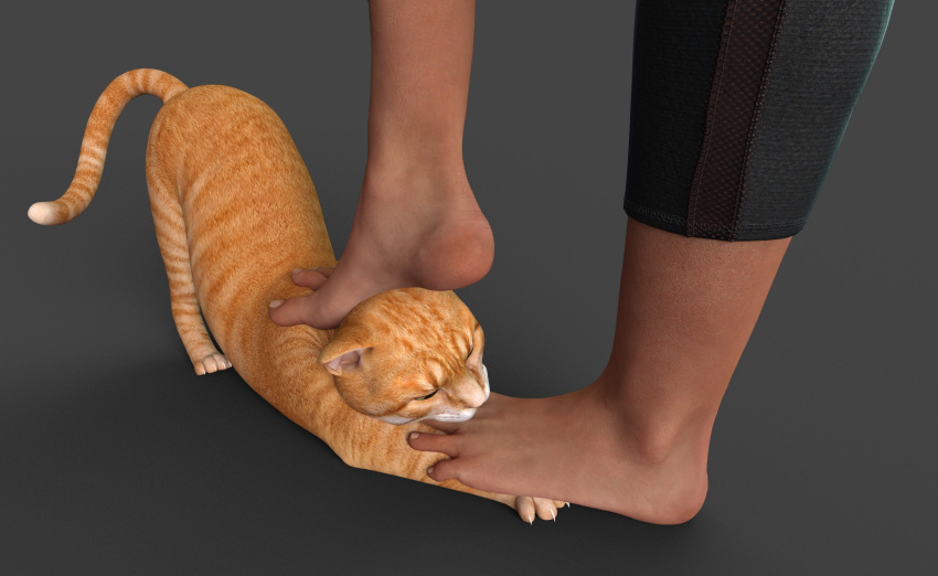 beastiality cat foot_fetish foot_licking foot_worship stepped_on toe_sucking