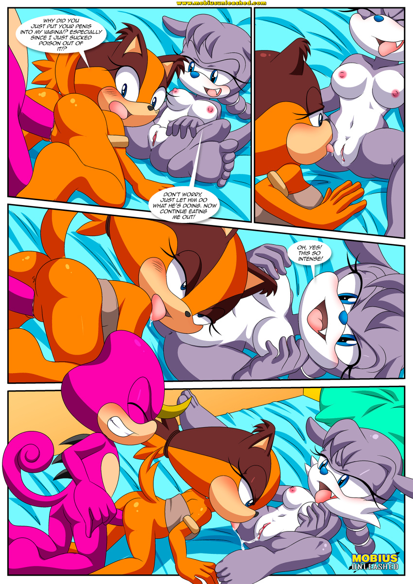 archie_comics bbmbbf comic espio_the_chameleon furry mobius_unleashed nic_the_weasel nicolette_the_weasel palcomix sega sonic_boom stickin'_around_(comic) sticks_the_jungle_badger