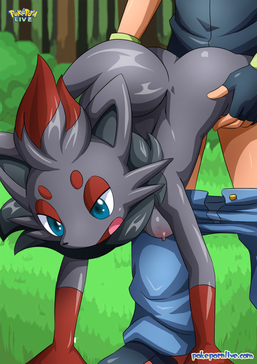 ass bbmbbf black_(pokemon) game_freak hilbert_(pokemon) humans_of_pokemon nintendo palcomix pokemon pokemon_(game) pokemon_black_and_white pokemon_bw pokephilia pokepornlive protagonist_(pokemon) touya_(pokemon) zorua