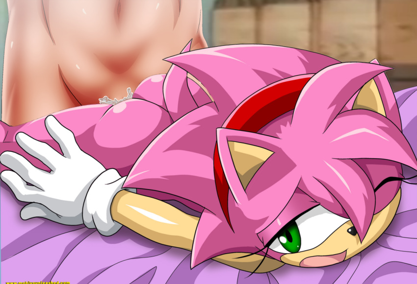 ambiguous_penetration amy_rose amy_rose_(classic) bbmbbf bed green_eyes human impregnation mobius_unleashed nude one_eye_closed palcomix rosy_the_rascal sega sonic_(series) sonic_the_hedgehog_(series) tail young