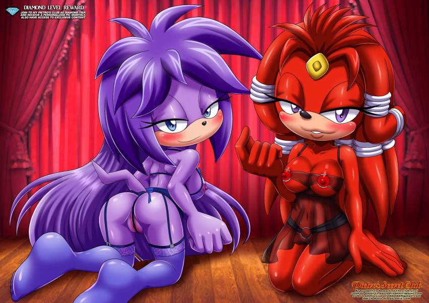 2_girls bbmbbf full_body gala-na lingerie mobius_unleashed palcomix purple_fur red_fur rita-le sega sonic_(series) tagme