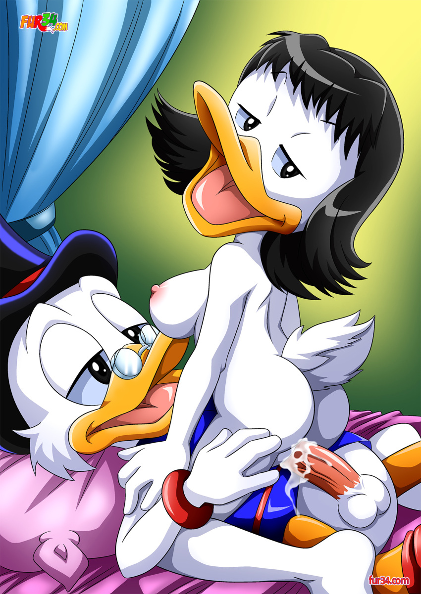 bbmbbf character_request disney ducktales fur34* furry palcomix scrooge_mcduck