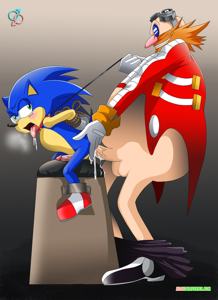 Xbooru - anal bbmbbf blush bondage breath dr. eggman gay hand on ass mobius  unleashed palcomix pants down rape rear deliveries reardeliveries sega sex  slave sonic (series) sonic team sonic the hedgehog