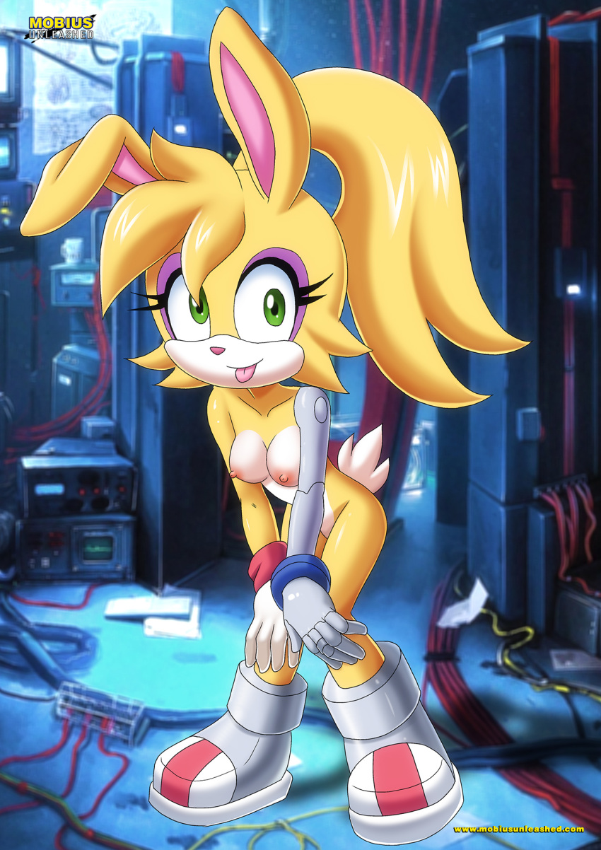 bbmbbf bunnie_rabbot mobius_unleashed palcomix sega sonic_the_hedgehog_(series)