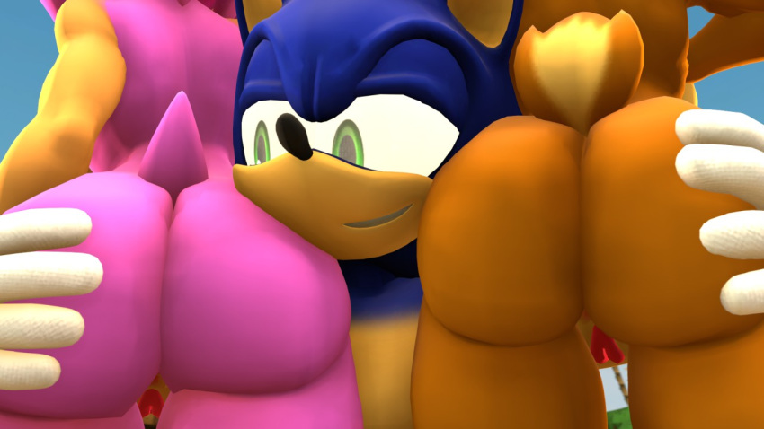 2girls1boyrn amy_rose ass ass_grab face_near_ass garbage-chan grabbing_ass nude_female pussy sally_acorn sega sonic_the_hedgehog sonic_the_hedgehog_(archie) sonic_the_hedgehog_(comics) sonic_the_hedgehog_(series) source_filmmaker