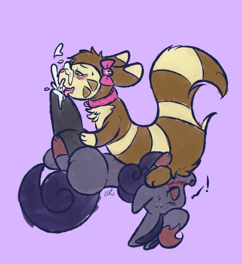 empa furret pokemon porkyman zorua