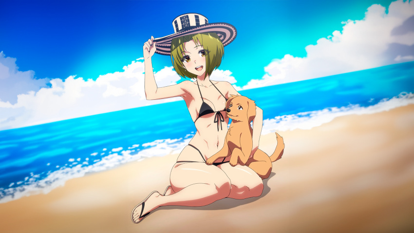 1girl beach beach_background belly belly_button black_bikini brown_eyes canine colombian colombian_hat costeño_hat ear_piercing earrings female_focus fingerless_gloves freckles green_hair green_nails happy hat hispanic hispanic_virtual_youtuber latam_virtual_youtuber light-skinned_female light_skin ocean open_mouth outside patrick_fche pet ryumi ryumivt safe sand sandals sea sea_foam sfw short_hair sitting sitting_on_floor sitting_on_lap small_breasts string_bikini swimsuit triangle_bikini twitch twitch.tv two_piece_swimsuit virtual_youtuber vtuber yellow_eyes youtube youtube_hispanic