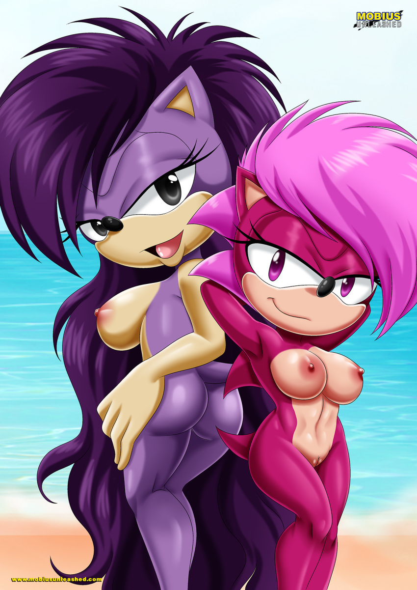 bbmbbf incest mobius_unleashed palcomix queen_aleena sega sonia_the_hedgehog sonic_underground yuri