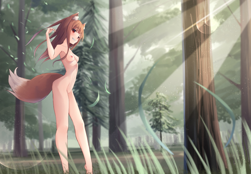 1girl akinakesu-chan animal_ears breasts brown_hair female_frontal_nudity female_nudity high_resolution holo large_filesize looking_at_viewer nipples nude outside pussy red_eyes small_breasts spice_and_wolf tail very_high_resolution wolf_ears wolf_girl wolf_tail