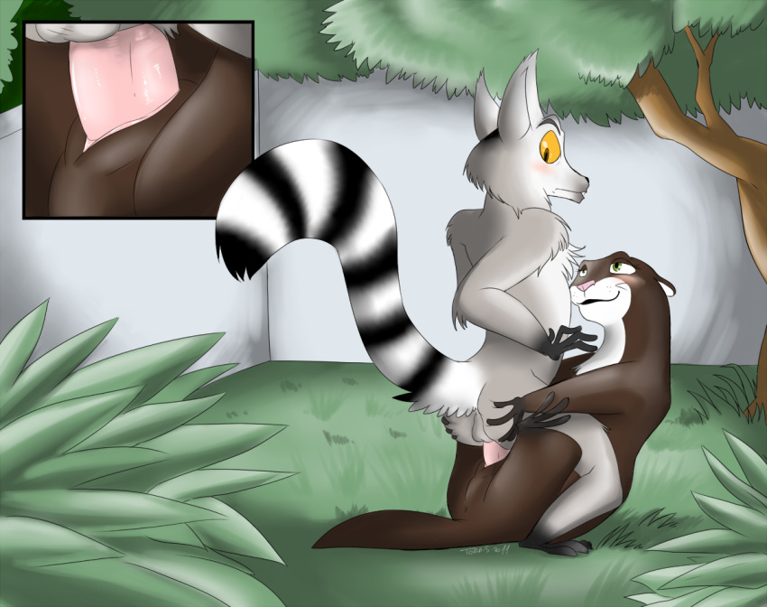 dreamworks furry genderswap interspecies king_julien marlene_(penguins) otter the_penguins_of_madagascar vaginal