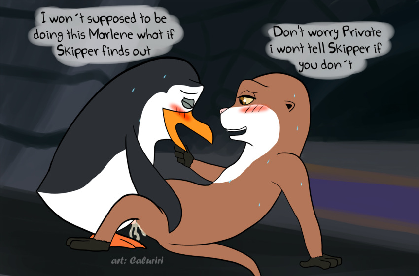 caluriri caluriri_(artist) cheating dreamworks furry interspecies marlene_(penguins) otter private_(penguins) the_penguins_of_madagascar vaginal