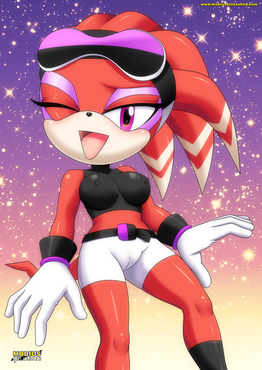 bbmbbf furry furry_only mobius_unleashed palcomix sega será sexy sexy_body shade_the_echidna sonic_(series) sonic_the_hedgehog_(series)