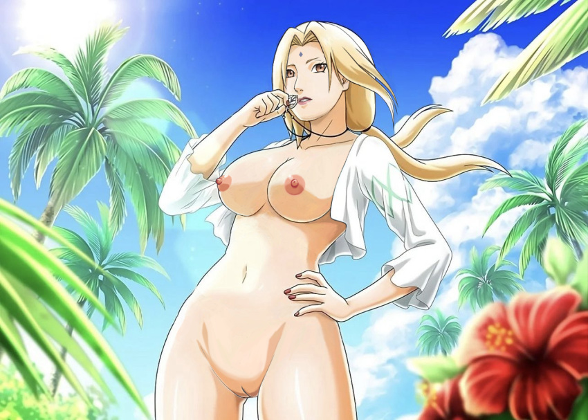 big_breasts naruto naruto_shippuden tagme tsunade