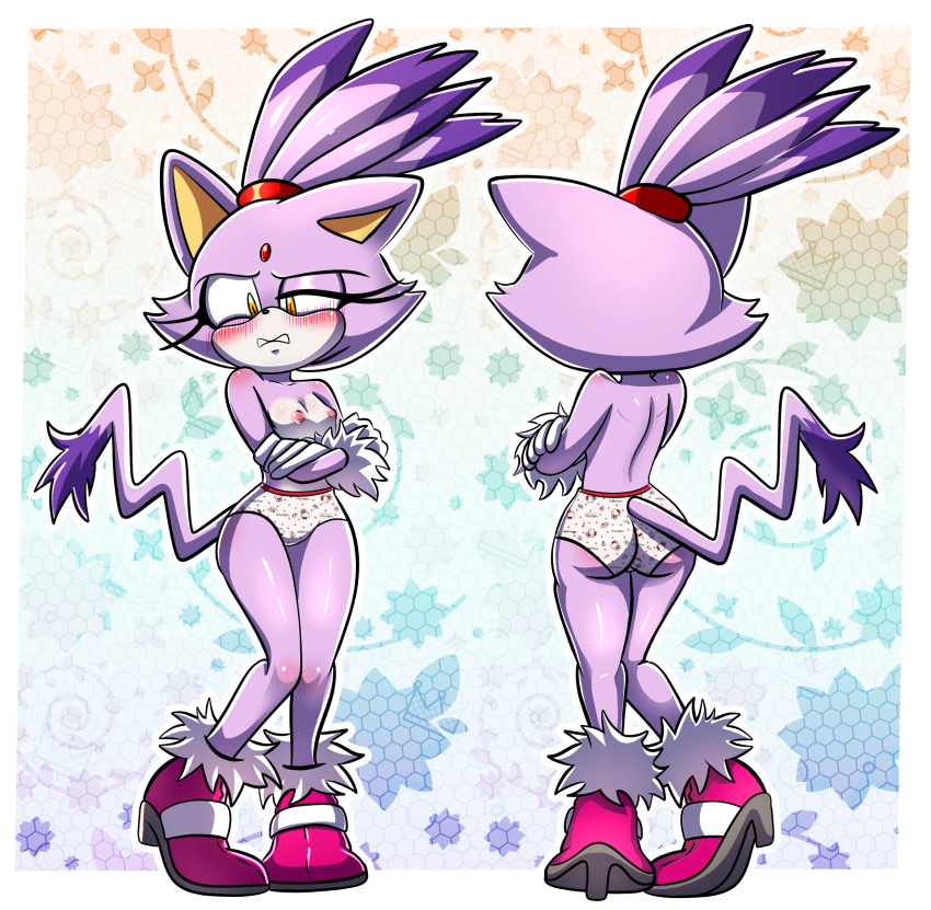 1girl blaze_the_cat cat demichan female modeling panties sega solo sonic_(series) sonic_rush underwear