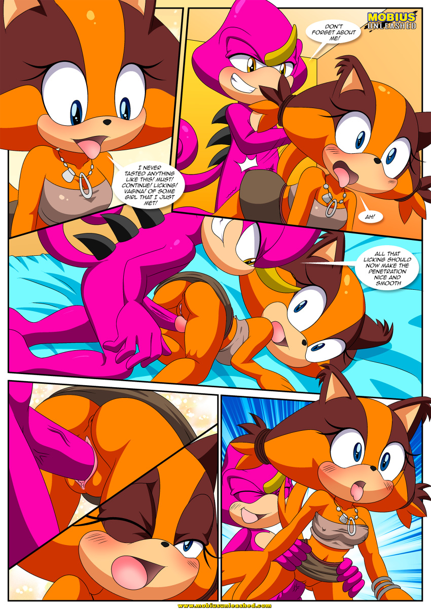 bbmbbf comic espio_the_chameleon furry mobius_unleashed palcomix sega sonic_boom stickin'_around_(comic) sticks_the_jungle_badger