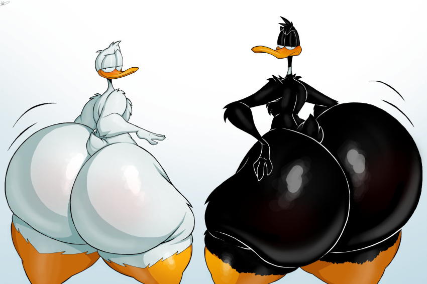 2boys anthro ass ass_expansion ass_focus black_skin butt_expansion butt_focus crossover daffy_duck dat_ass disney donald_duck duck dumptruck_ass feathers femboy gigantic_ass looney_tunes male_only schplingnops trait_connection white_skin