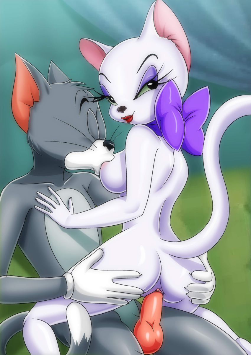 bbmbbf fur34* palcomix tom_(tom_and_jerry) tom_and_jerry toodles_galore