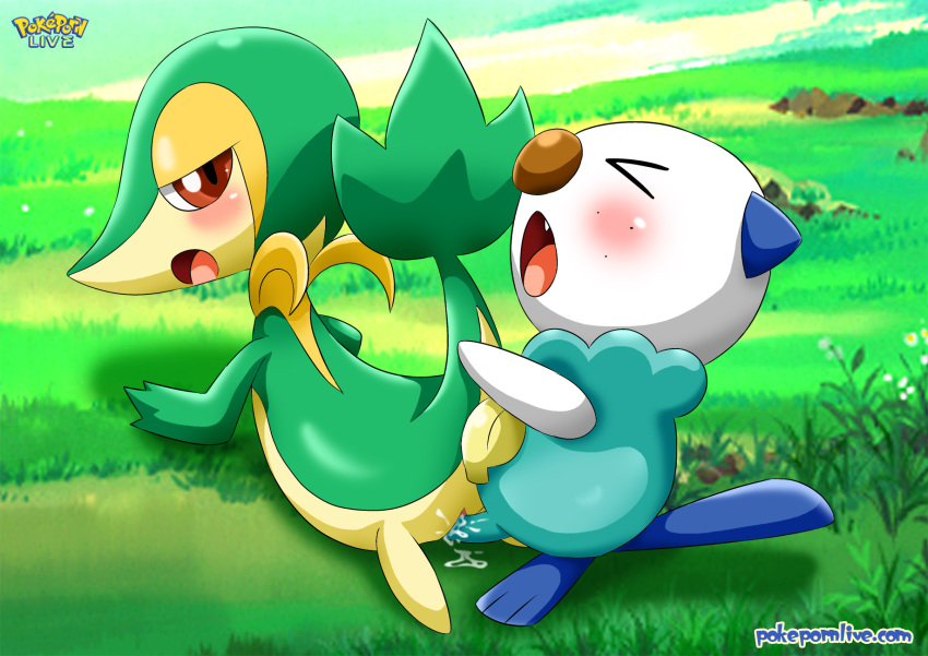 bbmbbf female male nintendo oshawott palcomix pokemon pokepornlive sex snivy tagme