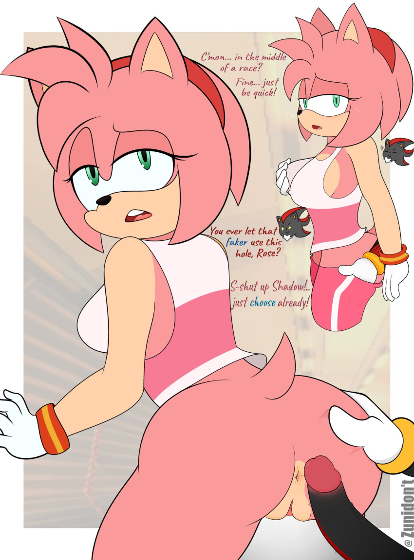 amy_rose fanart tagme