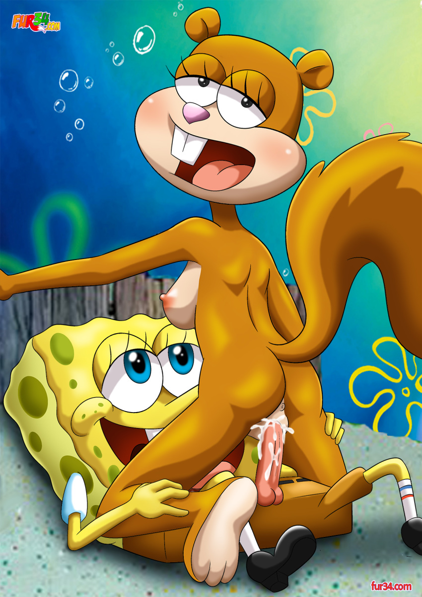 Xbooru - anthro ass bbmbbf cum cum in pussy cum inside fur34 fur34* furry  girl on top hot interspecies male/female nude palcomix sandy cheeks  spongebob spongebob squarepants teen underwater underwater sex vaginal