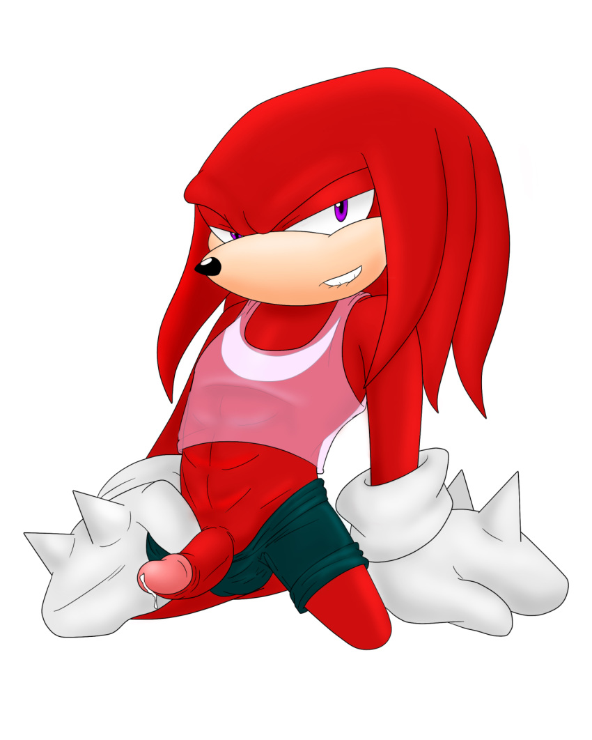 1girl anthro darthglacier echidna erinaceinae_humanoid furry gloves knuckles_the_echidna male mammal mobian_(species) monotreme penis purple_eyes red_fur sega sonic_the_hedgehog_(series) sonicharinezumi