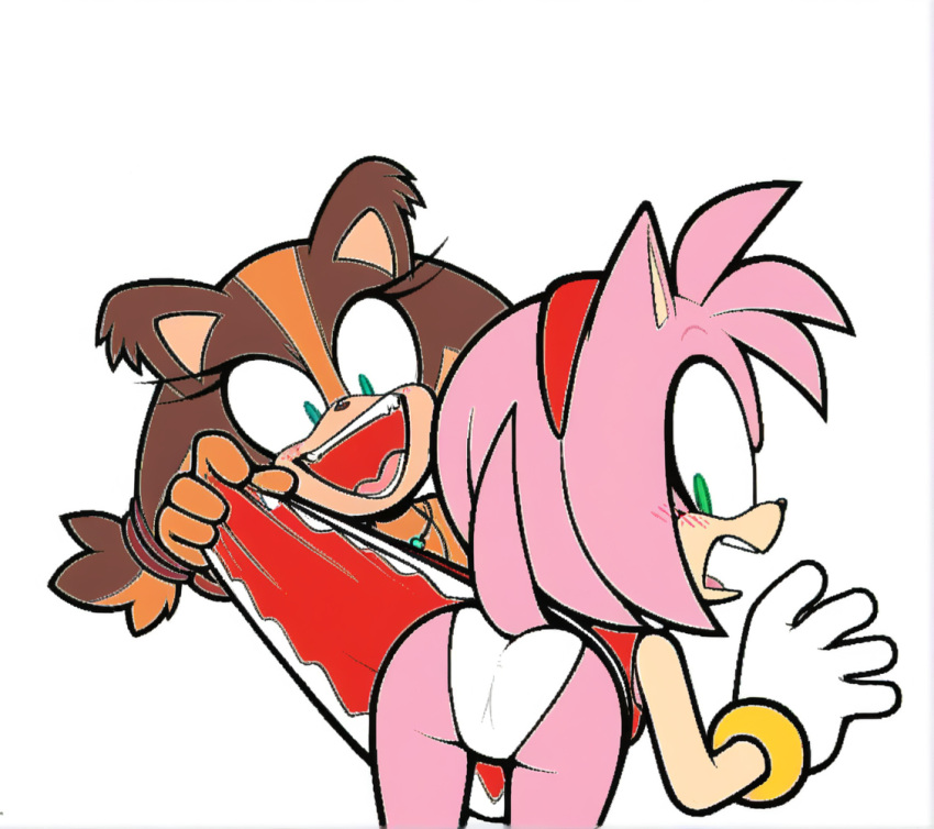 2_girls amy_rose ass bent_over edit furry furry_female panties sega skirt_lift sonic_boom sonic_the_hedgehog_(series) sticks_the_jungle_badger underwear white_panties